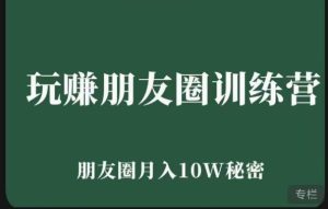 玩赚朋友圈系统课,朋友圈月入10W的秘密,7天系统图文课程-网赚资源网