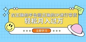 在正确的平台蹭正确的IP进行带货,轻松月入过万-网赚资源网