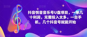 抖音音乐号U盘项目,一单几十利润,无需投入太多,一台手机,几个抖音号就能开始-网赚资源网