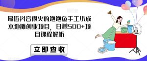 最近抖音很火的泡泡鱼手工小成本地摊创业项目,日賺500+项目课程解析-网赚资源网