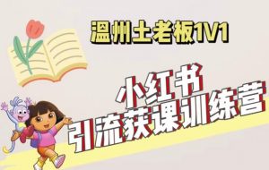 小红书1对1引流获客训练营:账号、内容、引流、成交(价值3999元)-网赚资源网