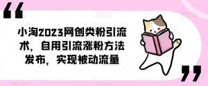 ​小淘2023网创类粉引流术，自用引流涨粉方法发布，实现被动流量-网赚资源网