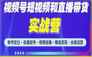 2023最新微信视频号引流和变现全套运营实战课程,小白也能玩转视频号短视频和直播运营-网赚资源网