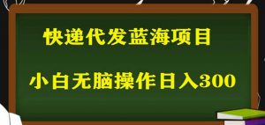 2023最新蓝海快递代发项目,小白零成本照抄也能日入300+-网赚资源网