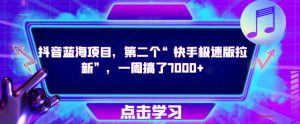 抖音蓝海项目,第二个“快手极速版拉新”,一周搞了7000+【揭秘】-网赚资源网
