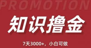 抖音知识撸金项目:简单粗暴日入1000+执行力强当天见收益(教程+资料)-网赚资源网