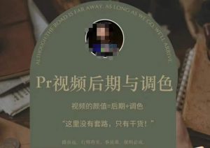 Pr视频后期与调色,视频颜值=后期+调色,这里没有套路,只有干货!-网赚资源网