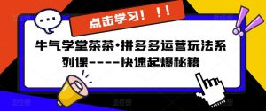 牛气学堂茶茶•拼多多运营玩法系列课—-快速起爆秘籍【更新】-网赚资源网