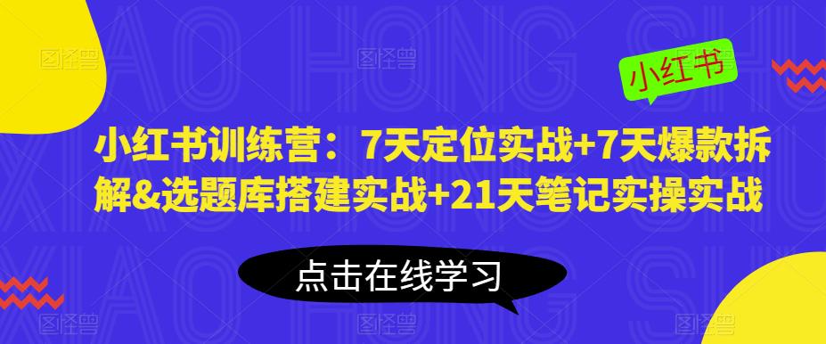 小红书训练营：7天定位实战+7天爆款拆解&选题库搭建实战+21天笔记实操实战 - 网赚资源网-网赚资源网