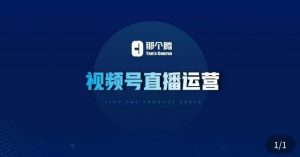 那个腾·视频号直播运营,视频号直播推流逻辑/流量渠道解析/直播起号攻略/直播实操技巧-网赚资源网