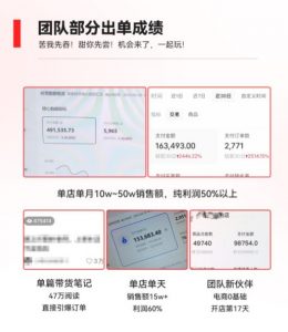 2023小红书电商火爆全网,新晋红利,风口项目,单店收益在3000-30000!-网赚资源网