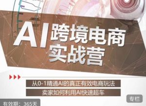 白龙老师·AI跨境电商实战营:从0-1精通Al的真正有效电商玩法,卖家如何利用Al快速超车-网赚资源网