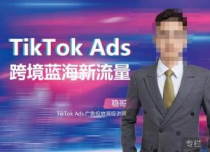 稳哥·如何投出高ROI的TikTok广告,开拓独立站卖家流量新蓝海-网赚资源网