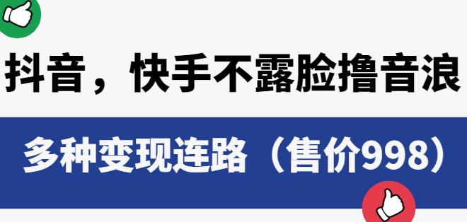 抖音快手不露脸撸音浪项目，多种变现连路（售价998） - 网赚资源网-网赚资源网