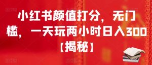 小红书颜值打分,无门槛,一天玩两小时日入300+【揭秘】-网赚资源网