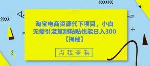 淘宝电商资源代下项目,小白无需引流复制粘贴也能日入300+【揭秘】-网赚资源网