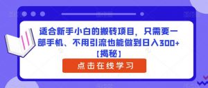 适合新手小白的搬砖项目,只需要一部手机、不用引流也能做到日入300+【揭秘】-网赚资源网