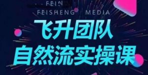 飞升团队课程自然流实操课,抖音半无人起号主播间搭建教学-网赚资源网