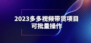 2023多多视频带货项目,可批量操作【保姆级教学】【揭秘】-网赚资源网