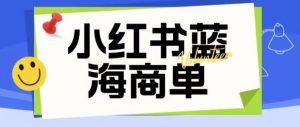 价值2980的小红书商单项目暴力起号玩法,一单收益200-300(可批量放大)-网赚资源网