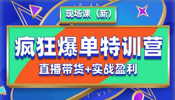 抖音短视频疯狂爆单特训营现场课（新）直播带货+实战案例-网赚资源网