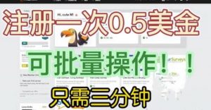 国外项目注册一次0.5美金,只需三分钟无脑操作,可批量同时放大操作,小白工作室福利【揭秘】-网赚资源网