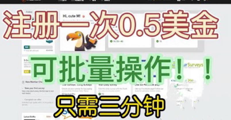 国外项目注册一次0.5美金，只需三分钟无脑操作，可批量同时放大操作，小白工作室福利【揭秘】 - 网赚资源网-网赚资源网