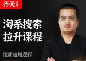 齐天电商·淘系搜索提升课程,搜索递增标准化,动销标准化流程-网赚资源网