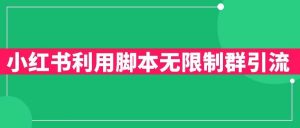 小红书利用脚本无限群引流日引创业粉300+【揭秘】 - 网赚资源网-网赚资源网