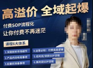 逸风-拼多多高溢价全域起爆，6大课程体系，付费玩法全套实操-网赚资源网