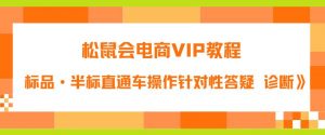 松鼠会电商VIP教程：松鼠《付费推广标品·半标直通车操作针对性答疑&诊断》-网赚资源网