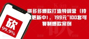 拼多多爆款打造特训营(持续更新中),199元*100套可复制爆款案例-网赚资源网