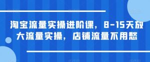淘宝流量实操进阶课,8-15天放大流量实操,店铺流量不用愁-网赚资源网