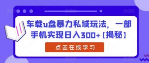 车载u盘暴力私域玩法,一部手机实现日入300+【揭秘】-网赚资源网