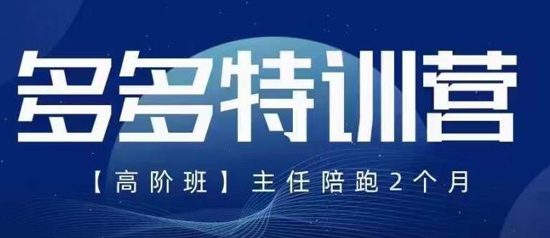 纪主任·5月最新多多特训营高阶班，玩法落地实操，多多全掌握 - 网赚资源网-网赚资源网