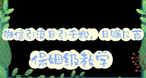 微信互推圈半自动引流方案，矩阵操作日引千人思路【详细视频教程】-网赚资源网