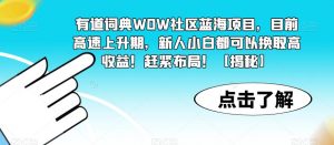 有道词典WOW社区蓝海项目,目前高速上升期,新人小白都可以换取高收益!赶紧布局!【揭秘】-网赚资源网