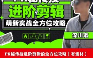 PR进阶剪辑培训班，让你快速成为剪辑大师12节视频课程+素材！-网赚资源网