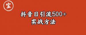 宝哥抖音直播引流私域的6个方法,日引流500+-网赚资源网