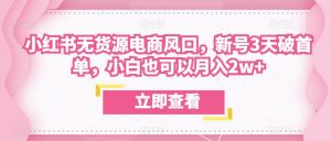 众狼电商余文小红书无货源电商风口,新号3天破首单,小白也可以月入2w+-网赚资源网