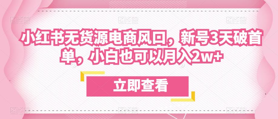 众狼电商余文小红书无货源电商风口，新号3天破首单，小白也可以月入2w+ - 网赚资源网-网赚资源网