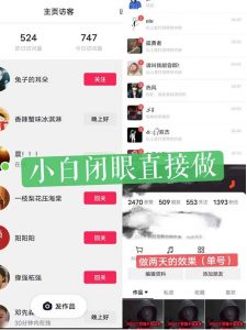 一天做完别一辈子的视频制作最近很火的《1000个野路子信息差》100%过原创【揭秘】-网赚资源网