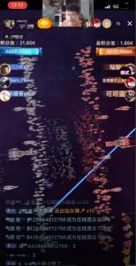 2023抖音最新最火爆弹幕互动游戏–星舰决战【开播教程+起号教程+对接报白等】-网赚资源网