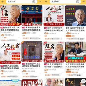 拆解小红书宝宝起名虚拟副业项目，一条龙实操玩法分享给你（教程+软件）-网赚资源网