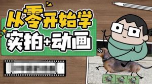 从零开始学实拍加动画,实拍加动画创意教程-网赚资源网