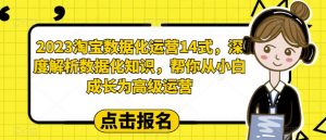 2023淘宝数据化运营14式,深度解析数据化知识,帮你从小白成长为高级运营-网赚资源网