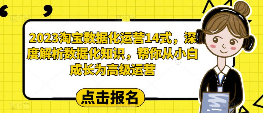 2023淘宝数据化运营14式，深度解析数据化知识，帮你从小白成长为高级运营 - 网赚资源网-网赚资源网