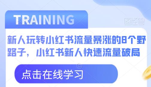 新人玩转小红书流量暴涨的8个野路子，小红书新人快速流量破局 - 网赚资源网-网赚资源网