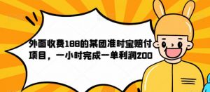 外面收费188的美团准时宝赔付项目,一小时完成一单利润200【仅揭秘】-网赚资源网