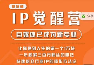 树成林·IP觉醒营,快速树立行业IP的操作方法论,让你赚到人生的第一个1万块(更新)-网赚资源网